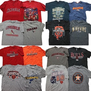 古着卸 まとめ売り プロチーム 半袖Tシャツ 16枚セット (メンズ L /XL ) NFL NBA カージナルス エンゼルス MLB MT3874(その他)