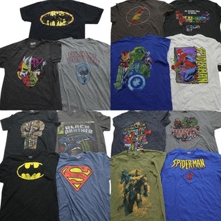 古着卸 まとめ売り マーベル DCコミック 半袖Tシャツ 15枚セット (メンズ L ) バットマン スパイダーマン スーパーマン MT3872(その他)