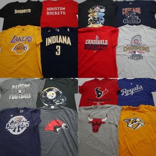 古着卸 まとめ売り プロチーム 半袖Tシャツ 16枚セット (メンズ XL ) NBA アディダス レイカーズ NFL スティラーズ MT3869(その他)