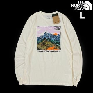 ザノースフェイス(THE NORTH FACE)のノースフェイス 長袖 Tシャツ US限定 グラフィック(L)白 180902(Tシャツ/カットソー(七分/長袖))