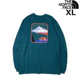 THE NORTH FACE - ノースフェイス 長袖 Tシャツ ロンT US限定(XL)緑 180902