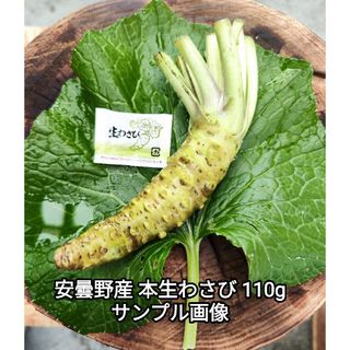 【茎付きわさび 100g前後】 長野 信州 安曇野 本わさび 生ワサビ あづみ野(野菜)