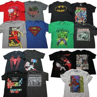 古着卸 まとめ売り マーベル DCコミック 半袖Tシャツ 15枚セット (メンズ M ) スーパーマン アイアンマン スパイダーマン MT4044(その他)