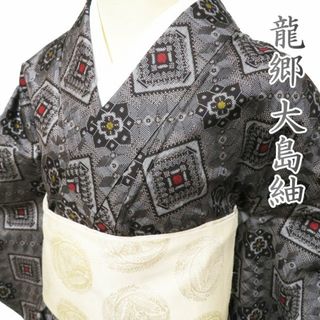 特選 大島紬 着物 中古 正絹 袷 カジュアル 龍郷柄 焦茶色 赤色 身丈169.5cm 裄68cm L トール きもの北條 A1033-10(着物)