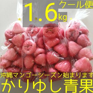 沖縄県産レンブ（蓮霧）Ｂ品約 1.6kg【クール便】①(フルーツ)