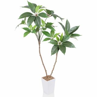 【サイズ:ツピダンサス100CM】人工観葉植物 フェイクグリーン ツピダンサス (その他)