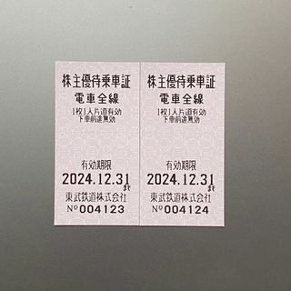 東武鉄道株主優待乗車券2枚 有効期限2024年12月31日(鉄道乗車券)