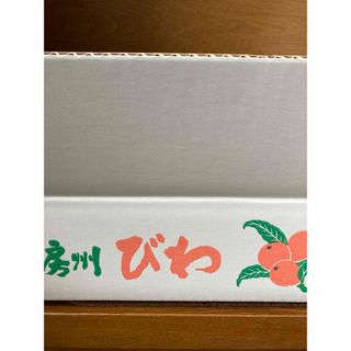 びわ（袋）約1 kg(フルーツ)