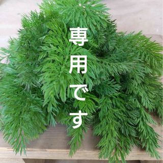 専用☆　人参葉(野菜)