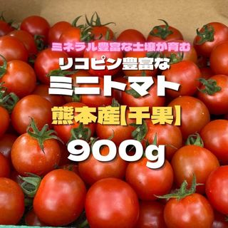 ミニトマト　900g 野菜　熊本産　弁当　ミネラル　リコピン　産地直送　おかず(野菜)