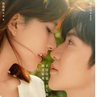 偷偷藏不住 hidden love　中国ドラマ　Blu-ray