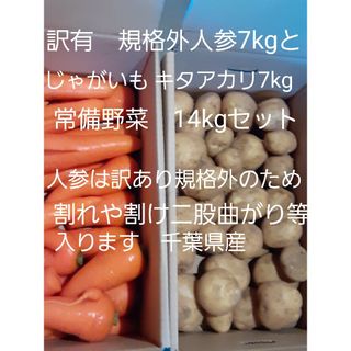 千葉県産　新じゃがいもキタアカリと訳有にんじん常備野菜セット中身のみで計14kg