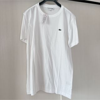 LACOSTE ラコステ Tシャツ(Tシャツ(半袖/袖なし))