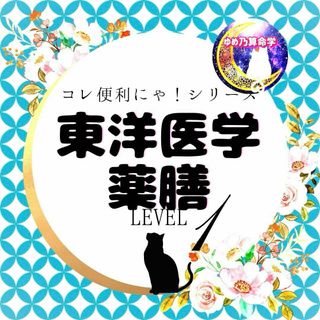 【便利】東洋医学・薬膳基本表　レベル１