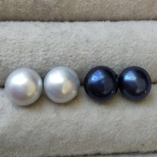 259 淡水真珠ピアス 2色セット グレー ミッドナイトブルー 本真珠(ピアス)