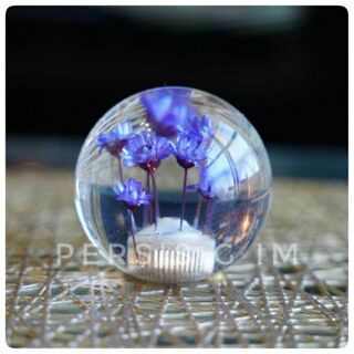 水中花シフトノブ 紫 パープル デコトラ 昭和 レトロ 行燈 ナマズ LED