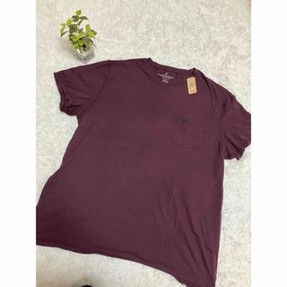 アメリカンイーグル(American Eagle)のアメリカンイーグル　アウトフィッターズ　レジェンドT メンズ　大きめサイズ　４Ｌ(Tシャツ/カットソー(半袖/袖なし))