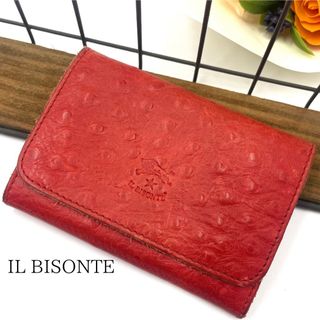 イルビゾンテ(IL BISONTE)の【極希少】IL BISONTE イルビゾンテ カードケース オーストリッチ 型押(名刺入れ/定期入れ)