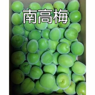 南高梅（青梅）　２kg