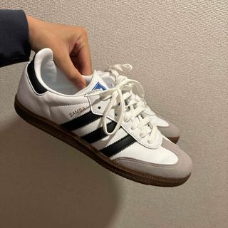 adidas - adidas サンバ　25.5cm