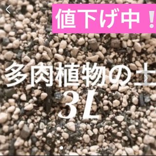 値下げ中❣️多肉植物　サボテンの土　約3リットル 即購入歓迎❣️