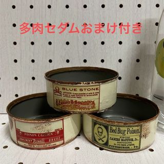 リメイク缶 リメ缶 3個セット 多肉セダムおまけ付き