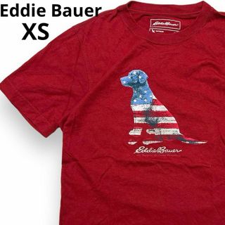 エディーバウアー(Eddie Bauer)のエディーバウアー 国旗 犬 半袖Tシャツ 半袖シャツ ゴールデンレトリバー 米国(Tシャツ/カットソー(半袖/袖なし))