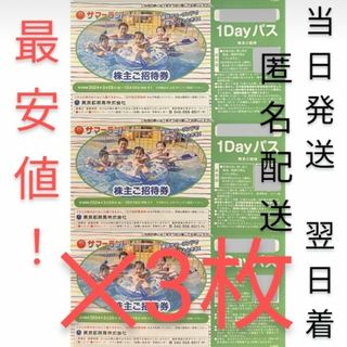 最安値！東京サマーランドフリーパス3枚 匿名配送 当日発送 東京都競馬株主優待