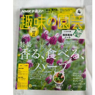 NHKテキスト　趣味の園芸（4）