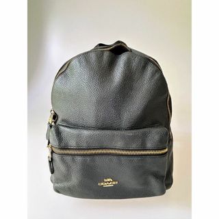 コーチ(COACH)のCOACH コーチ リュック F38288 大容量  シボ革 レザー (リュック/バックパック)