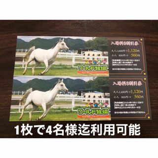 《12時間以内発送》ワールド牧場　入場料　3割引券　1枚4名様まで(画像分参照)