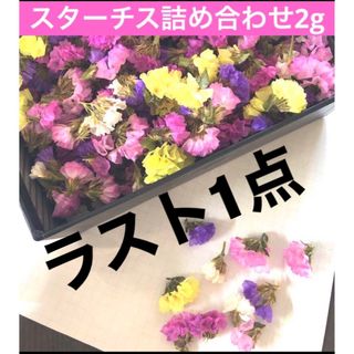 スターチス　詰め合わせ　ハンドメイド　ドライフラワー花材　花　パーツ　レジン