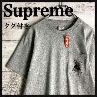 シュプリーム(Supreme)の9029【タグ付き】シュプリーム☆ポケット付き人気カラーtシャツ　入手困難(Tシャツ/カットソー(半袖/袖なし))