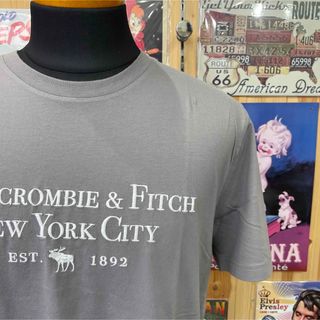 アバクロンビーアンドフィッチ(Abercrombie&Fitch)の新品★アバクロメンズ刺繍ロゴＴシャツ★マットグレー★サイズＬ(Tシャツ/カットソー(半袖/袖なし))