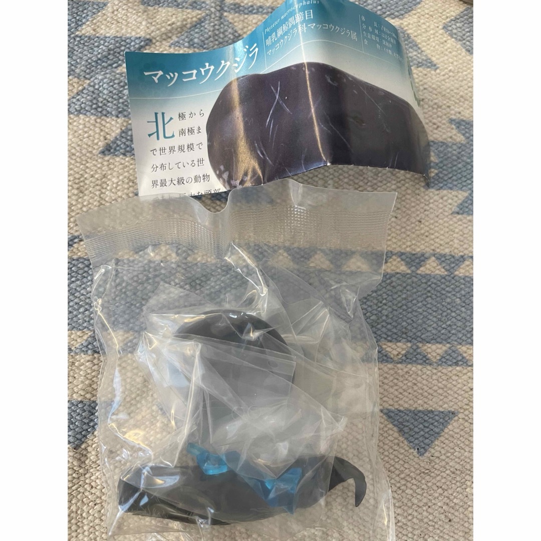 イルカとクジラ マッコウクジラ ガチャ エンタメ/ホビーのおもちゃ/ぬいぐるみ(キャラクターグッズ)の商品写真