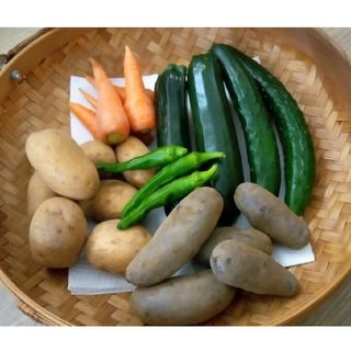 農薬不使用　野菜セット