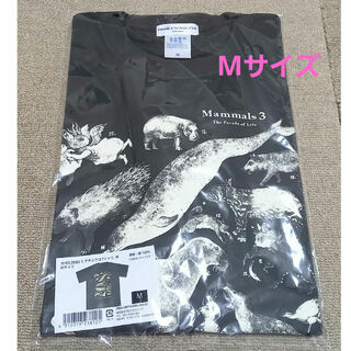 ヒグチユウコ - ヒグチユウコ　大哺乳類展3　MサイズTシャツ