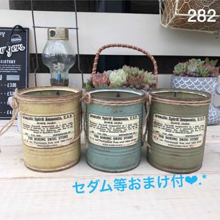 リメイク缶282♡多肉植物☺︎︎寄せ植え☺︎︎インテリア