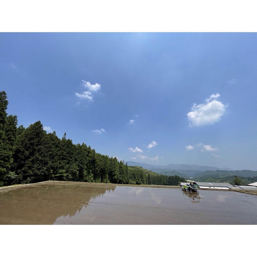 イチ