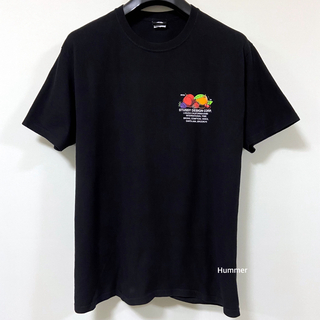 ステューシー(STUSSY)の国内正規品 Lサイズ STUSSY ステューシー Tシャツ 黒(Tシャツ/カットソー(半袖/袖なし))