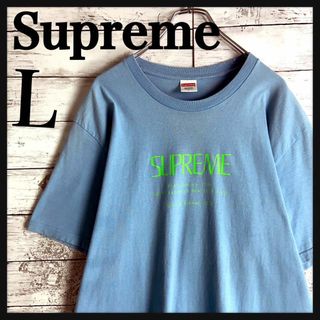 シュプリーム(Supreme)の9045【人気デザイン】シュプリーム☆希少Lサイズtシャツ　入手困難(Tシャツ/カットソー(半袖/袖なし))