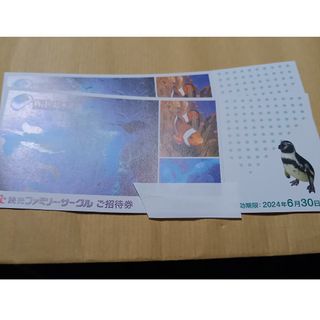 新江ノ島水族館　2枚　ペア価格　6/30迄　ミニレター発送　送料無料