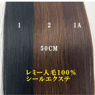 レミー人毛100％　シールエクステ50CM　ロートーン(その他)