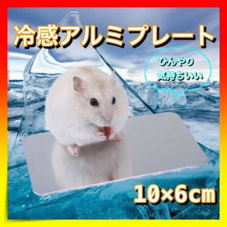 ＊ひんやり冷感アルミプレート　ペット用　冷感　ハムスター　リス　クールマット(小動物)