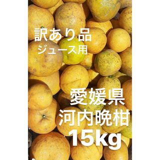 訳あり品　愛媛県産　河内晩柑　宇和ゴールド　柑橘　ジュース用　15kg(フルーツ)