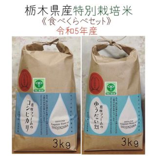 栃木県産コシヒカリ、ゆうだい21【食べくらべセット】白米3kg×2袋(米/穀物)