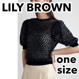 Lily Brown - ♡完売・新品タグ付♡Fサイズ リリーブラウン オパールシアーニットトップス 黒