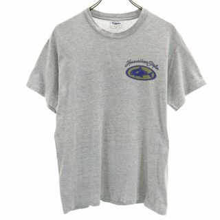 VOLUNTEER 90s USA製 オールド バックプリント 半袖 Tシャツ S グレー系 VOLUNTEER メンズ(Tシャツ/カットソー(半袖/袖なし))