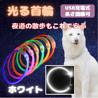 光る 首輪 ホワイト LEDライト USB充電 犬 ドッグ おしゃれ 夜の散歩(犬)