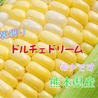 【残りわずか】とうもろこし(ドルチェドリーム)　4kg　熊本県産(野菜)